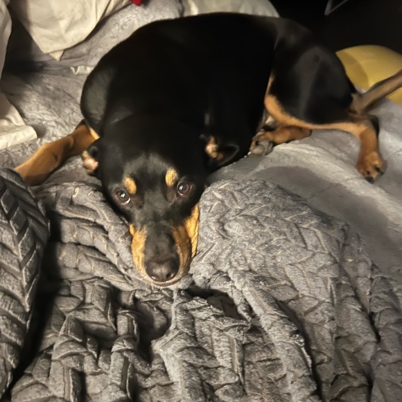 Meet your Posher, Chris - Picture 2 of 8